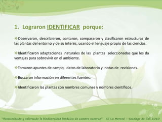1. Lograron IDENTIFICAR porque:
Observaron, describieron, contaron, compararon y clasificaron estructuras de
las plantas del entorno y de su interés, usando el lenguaje propio de las ciencias.

Identificaron adaptaciones naturales de las plantas seleccionadas que les da
ventajas para sobrevivir en el ambiente.

Tomaron apuntes de campo, datos de laboratorio y notas de revisiones.

Buscaron información en diferentes fuentes.

Identificaron las plantas con nombres comunes y nombres científicos.
 