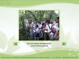 RECOLECTANDO INFORMACIÓN
    Jardín botánico de Cali
 