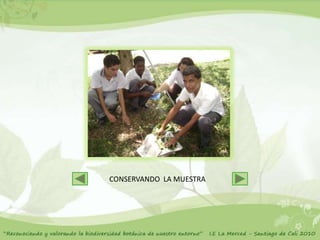 CONSERVANDO LA MUESTRA
 