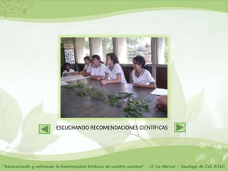 ESCUCHANDO RECOMENDACIONES CIENTÍFICAS
 