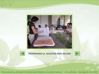 PREPARANDO LA MUESTRA PARA SECADO
 