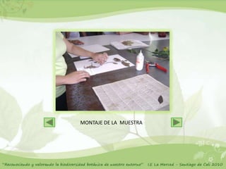 MONTAJE DE LA MUESTRA
 