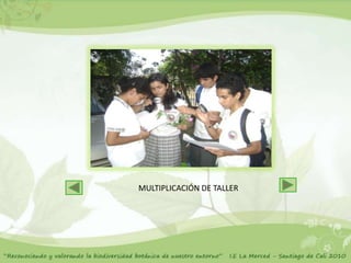 MULTIPLICACIÓN DE TALLER
 