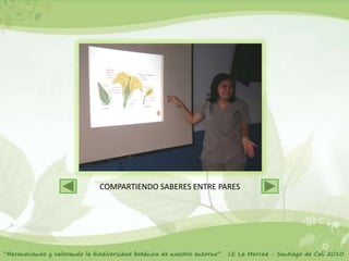 COMPARTIENDO SABERES ENTRE PARES
 