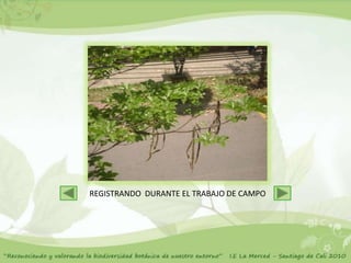 REGISTRANDO DURANTE EL TRABAJO DE CAMPO
 