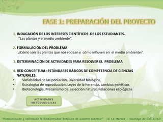 1. INDAGACIÓN DE LOS INTERESES CIENTÍFICOS DE LOS ESTUDIANTES.
    “Las plantas y el medio ambiente”.

2. FORMULACIÓN DEL PROBLEMA
    ¿Cómo son las plantas que nos rodean y cómo influyen en el medio ambiente?.

3. DETERMINACIÓN DE ACTIVIDADES PARA RESOLVER EL PROBLEMA

4. RED CONCEPTUAL: ESTÁNDARES BÁSICOS DE COMPETENCIA DE CIENCIAS
   NATURALES:
•     Variabilidad de las población, Diversidad biológica,
•     Estrategias de reproducción, Leyes de la herencia, cambios genéticos
•     Biotecnología, Mecanismo de selección natural, Relaciones ecológicas
 