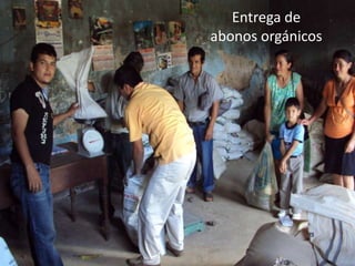 Entrega de  abonos orgánicos