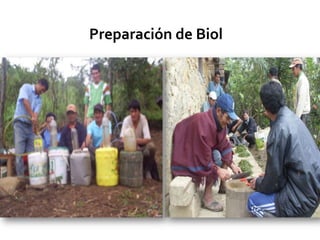 Preparación de Biol