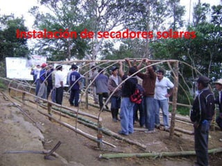 Instalación de secadores solares