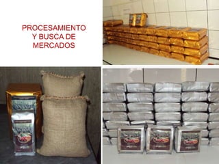 PROCESAMIENTO  Y BUSCA DE MERCADOS