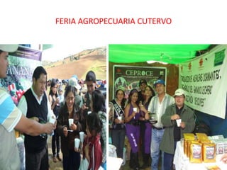 FERIA AGROPECUARIA CUTERVO