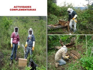 ACTIVIDADES COMPLEMENTARIAS