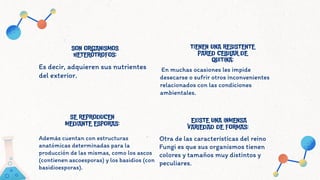 SON ORGANISMOS
HETERÓTROFOS:
TIENEN UNA RESISTENTE
PARED CELULAR DE
QUITINA:
SE REPRODUCEN
MEDIANTE ESPORAS: EXISTE UNA IN...