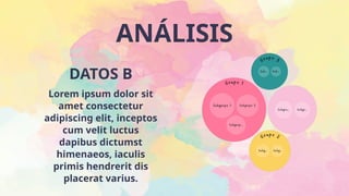 ANÁLISIS
Lorem ipsum dolor sit
amet consectetur
adipiscing elit, inceptos
cum velit luctus
dapibus dictumst
himenaeos, iaculis
primis hendrerit dis
placerat varius.
DATOS B
 