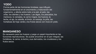 YODO
Forma parte de las hormonas tiroideas, que influyen
fundamentalmente en el crecimiento y maduración del
organismo, y afecta sobre todo a la piel, el pelo, las
uñas, los dientes y los huesos. Las algas, los pescados, los
mariscos, lo cereales, la carne magra, los huevos, la
leche, el ajo, la cebolla, el limón, la naranja, la piña, las
hortalizas de hoja verde y los frutos secos con ricos en yodo.

MANGANESO
Es necesario para los huesos y juega un papel importante en las
funciones reproductoras. Se puede encontrar en el pan integral, las
hortalizas, la carne, la leche y sus derivados, los crustáceos y los
frutos secos.

 