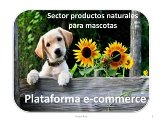 Sector productos naturales
         para mascotas




Plataforma e-commerce
           Pedro Arce           1
 