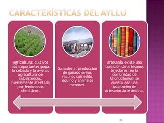 CARACTERÍSTICAS DEL AYLLU14