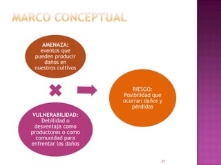 Marco conceptual21
