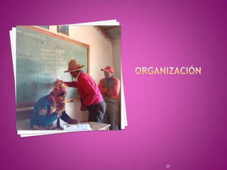 Organización 23
