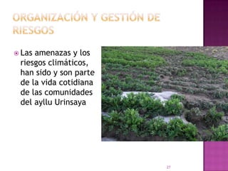 Organización y gestión de riesgosLas amenazas y los riesgos climáticos, han sido y son parte de la vida cotidiana de las comunidades del ayllu Urinsaya27