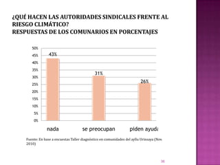 ¿QUÉ HACEN LAS AUTORIDADES SINDICALES FRENTE AL RIESGO CLIMÁTICO?RESPUESTAS DE LOS COMUNARIOS EN PORCENTAJES36Fuente: En base a encuestas Taller diagnóstico en comunidades del ayllu Urinsaya (Nov. 2010)