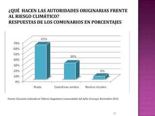 ¿QUÉ  HACEN LAS AUTORIDADES ORIGINARIAS FRENTE AL RIESGO CLIMÁTICO?RESPUESTAS DE LOS COMUNARIOS EN PORCENTAJES37Fuente: Encuesta realizada en Talleres diagnóstico comunidades del Ayllu Urinsaya, Noviembre 2010.