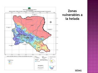 Zonas vulnerables a la heladaSEDAG