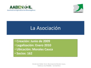 La Asociación
• Creación: Junio de 2009
• Legalización: Enero 2010
• Ubicación: Morales Cauca
• Socios: 162
Vereda San Rafael. Km.6. Municipio de Morales Cauca.
Teléfonos 3127958985 - 3172347013
 