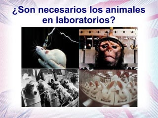 ¿Son necesarios los animales
en laboratorios?
 