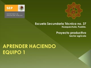 Escuela Secundaria Técnica no. 37
                           Huaquechula, Puebla.

                       Proyecto productivo
                                 Sector agrícola



APRENDER HACIENDO
EQUIPO 1
 