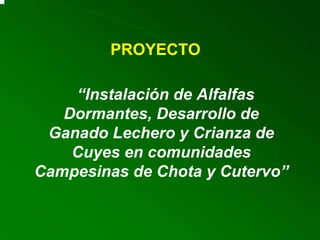 “ Instalación de Alfalfas Dormantes, Desarrollo de Ganado Lechero y Crianza de Cuyes en comunidades Campesinas de Chota y Cutervo”  PROYECTO 