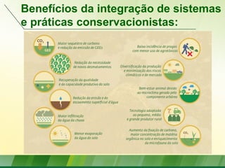 Benefícios da integração de sistemas
e práticas conservacionistas:
 