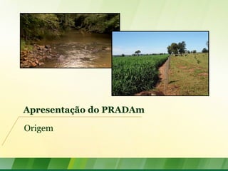 Apresentação do PRADAm
Origem
 