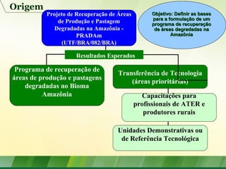 Origem
Projeto de Recuperação de Áreas
de Produção e Pastagem
Degradadas na Amazônia -
PRADAm
(UTF/BRA/082/BRA)
Resultados Esperados
Transferência de Tecnologia
(áreas prioritárias)
Programa de recuperação de
áreas de produção e pastagens
degradadas no Bioma
Amazônia
Unidades Demonstrativas ou
de Referência Tecnológica
Capacitações para
profissionais de ATER e
produtores rurais
Objetivo: Definir as basesObjetivo: Definir as bases
para a formulação de umpara a formulação de um
programa de recuperaçãoprograma de recuperação
de áreas degradadas nade áreas degradadas na
AmazôniaAmazônia
 