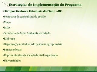 Estratégias de Implementação do Programa
Grupos Gestores Estaduais do Plano ABC
•Secretaria de Agricultura do estado
•Mapa
•MDA
•Secretaria de Meio Ambiente do estado
•Embrapa
•Organizações estaduais de pesquisa agropecuária
•Bancos oficiais
•Representantes da sociedade civil organizada
•Universidades
 