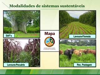 Modalidades de sistemas sustentáveis
Lavoura-FlorestaLavoura-FlorestaSAF’sSAF’s
Lavoura-PecuáriaLavoura-Pecuária Rec. PastagemRec. Pastagem
 