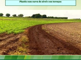 Plantio com curva de nível e em terraçosPlantio com curva de nível e em terraços
Fonte: Programa Globo Rural -21 Set 2014
 