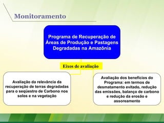 Monitoramento
Programa de Recuperação de
Áreas de Produção e Pastagens
Degradadas na Amazônia
Avaliação da relevância da
recuperação de terras degradadas
para o seqüestro de Carbono nos
solos e na vegetação
Avaliação dos benefícios do
Programa: em termos de
desmatamento evitado, redução
das emissões, balanço de carbono
e redução da erosão e
assoreamento
Eixos de avaliação
 