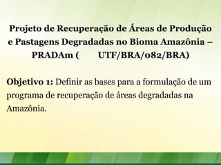 Projeto de Recuperação de Áreas de Produção
e Pastagens Degradadas no Bioma Amazônia –
PRADAm ( UTF/BRA/082/BRA)
Objetivo 1: Definir as bases para a formulação de um
programa de recuperação de áreas degradadas na
Amazônia.
 