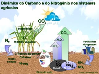 8
NN22
FixaçãoFixação
biológicabiológica
N-orgN-org NHNH44
NONO33
FertilizantesFertilizantes
nitrogenadosnitrogenados
COCO22
CC
tecidos vegetaistecidos vegetais
C-Restos da culturaC-Restos da cultura
FotossínteseFotossíntese
C-RaízesC-Raízes
COCO22
NN22OO
CHCH44
Biota do solo Fonte: Cerri&Feigl 2011
Dinâmica do Carbono e do Nitrogênio nos sistemasDinâmica do Carbono e do Nitrogênio nos sistemas
agrícolasagrícolas
 