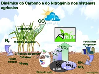 9
Dinâmica do Carbono e do Nitrogênio nos sistemasDinâmica do Carbono e do Nitrogênio nos sistemas
agrícolasagrícolas
NN22
FixaçãoFixação
biológicabiológica
N-orgN-org NHNH44
NONO33
FertilizantesFertilizantes
nitrogenadosnitrogenados
COCO22
CC
tecidos vegetaistecidos vegetais
C-Restos da culturaC-Restos da cultura
FotossínteseFotossíntese
C-RaízesC-Raízes
COCO22
NN22OO
CHCH44
Biota do solo Cerri&Feigl 2011
 