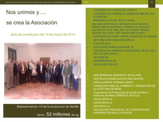 Asociación para la Promoción de las Aceitunas Sevillanas de las variedades Manzanilla y Gordal - APAS 11
Acto de constituc...