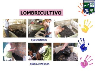 LOMBRICULTIVO
 