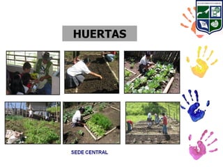 HUERTAS
 