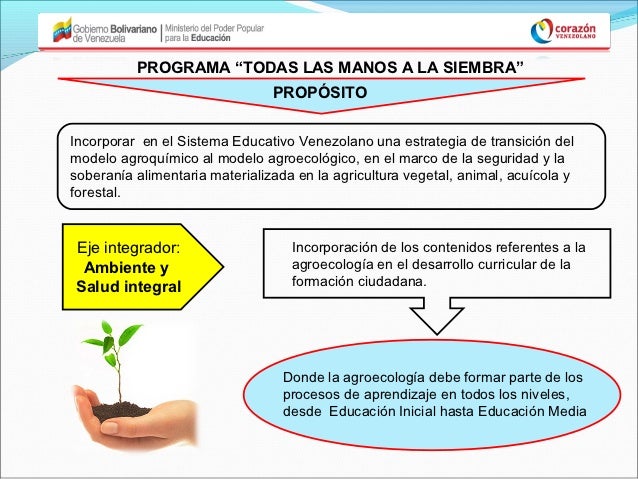 dibujos de manos a la siembra presentaci 243 n proyectos dibujos de manos a la siembra presentaci 243 n proyectos
