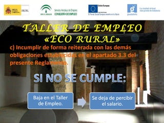 TALLER DE EMPLEO
«ECO RURAL»

c) Incumplir de forma reiterada con las demás
obligaciones establecidas en el apartado 3.3 del
presente Reglamento.

 