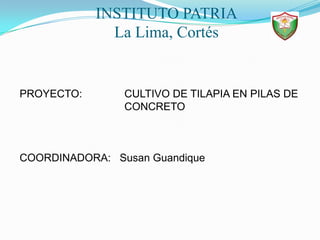 INSTITUTO PATRIALa Lima, Cortés PROYECTO:		   CULTIVO DE TILAPIA EN PILAS DE 			   CONCRETO COORDINADORA:   SusanGuandique 
