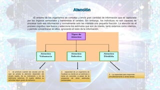 El entorno de los organismos es complejo y envía gran cantidad de información que es capturada
por los órganos sensoriales y transmitida al cerebro. Sin embargo, los individuos no son capaces de
procesar toda esa información y normalmente solo les interesa una pequeña fracción. La atención es el
proceso cognitivo que busca y selecciona los estímulos que son de interés, tanto externos como internos,
y permite concentrarse en ellos, ignorando el resto de la información.
1. se produce cuando las causas por las
que se presta la atención dependen del
propio sujeto, de su motivación y no de
estímulos externos. El sujeto dedica su
actividad algún grado de esfuerzo.
2. capacidad de un organismo de
focalizar su mente en un estímulo o
tarea en concreto, a pesar de la
presencia de otros estímulos
ambientales.
3. La capacidad para responder
simultáneamente a varias tareas.
 