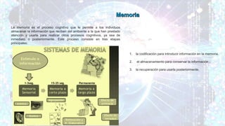 La memoria es el proceso cognitivo que le permite a los individuos
almacenar la información que reciben del ambiente a la que han prestado
atención y usarla para realizar otros procesos cognitivos, ya sea de
inmediato o posteriormente. Este proceso consiste en tres etapas
principales:
1. la codificación para introducir información en la memoria.
2. el almacenamiento para conservar la información .
3. la recuperación para usarla posteriormente.
 