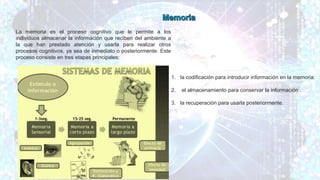 La memoria es el proceso cognitivo que le permite a los
individuos almacenar la información que reciben del ambiente a
la que han prestado atención y usarla para realizar otros
procesos cognitivos, ya sea de inmediato o posteriormente. Este
proceso consiste en tres etapas principales:
1. la codificación para introducir información en la memoria.
2. el almacenamiento para conservar la información .
3. la recuperación para usarla posteriormente.
 